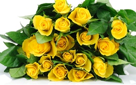 Букет желтых роз цветы HD обои