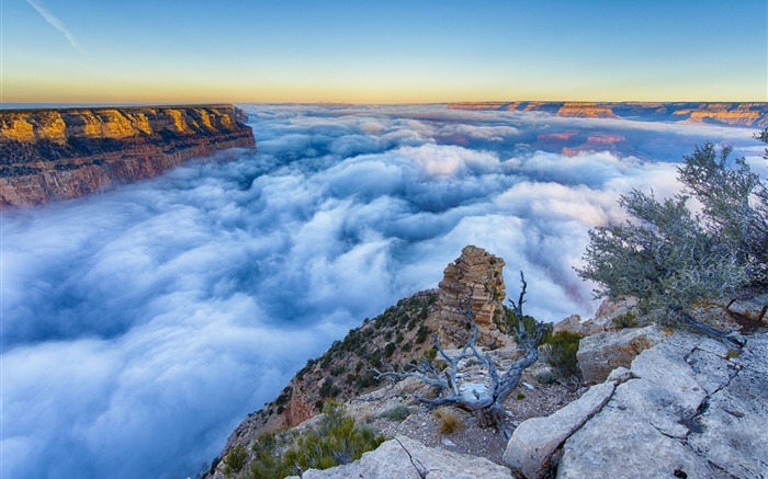 Аризона, США Гранд-Каньон, утро, восход, туман, облака обои,s изображение