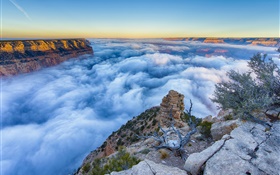 Аризона, США Гранд-Каньон, утро, восход, туман, облака HD обои