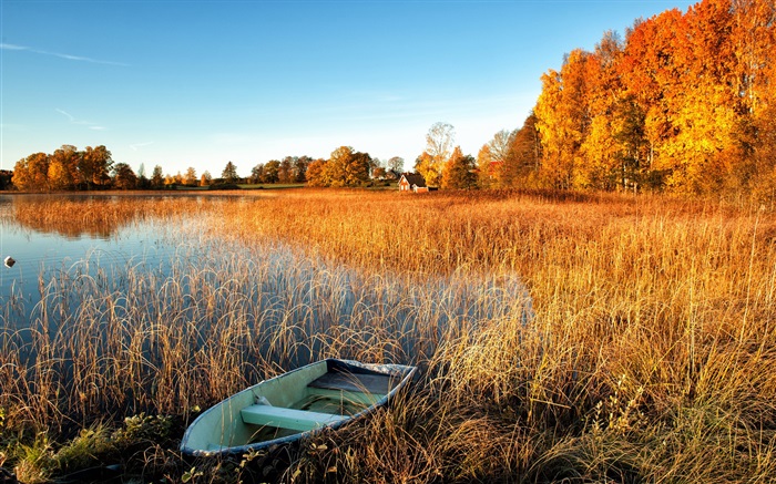 Осень, озеро, трава, лодки, деревья, дом обои,s изображение