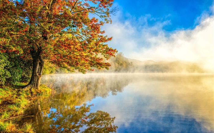Осенний пейзаж, озеро, туман, лес обои,s изображение
