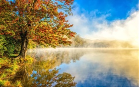 Осенний пейзаж, озеро, туман, лес