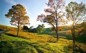 Осень, деревья, трава, лучи солнца, дом HD обои