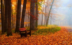 Осень, деревья, листья, парк, дорога, скамейка