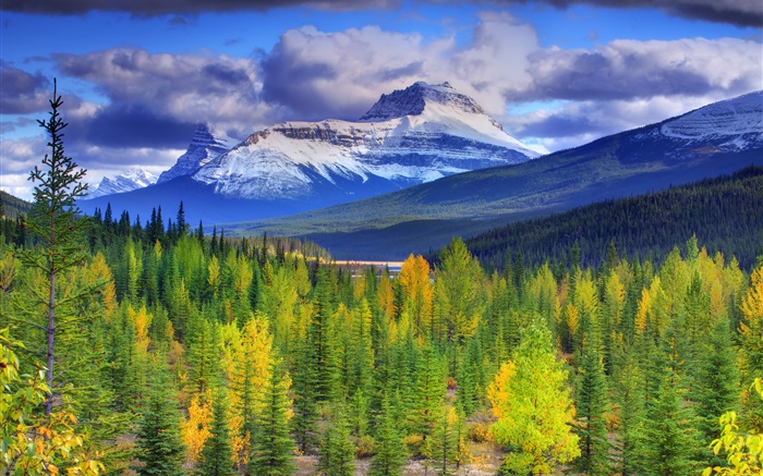 Национальный парк Банф, Альберта, Канада, горы, небо, лес, деревья обои,s изображение