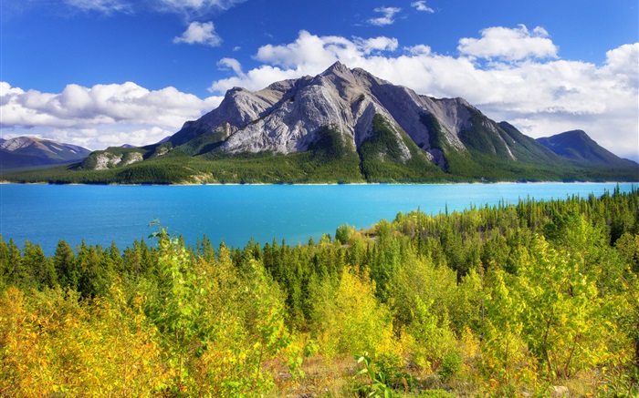 Банф Парк, Альберта, Канада, Авраам озеро, горы, деревья обои,s изображение