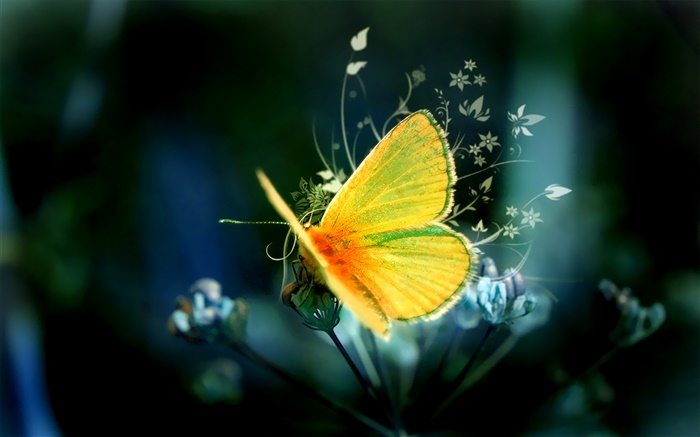 креативный дизайн, желтая бабочка обои,s изображение