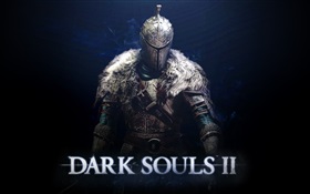 Dark Souls 2 ПК игры HD обои