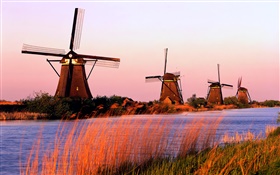 Голландский пейзаж, ветряные мельницы, реки, вечер