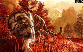 Far Cry 4, белый тигр HD обои