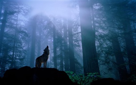 Лес волк HD обои