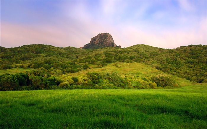 Hillside, зеленый, поле обои,s изображение