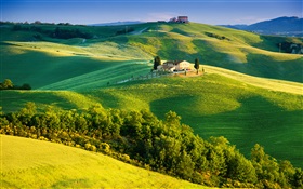 Италия, зеленые поля, красивый пейзаж HD обои