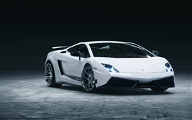 Lamborghini белый взгляд суперкар спереди HD обои
