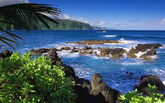 Мауи, Гавайи, США, море обои,s изображение