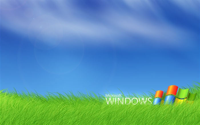 Логотип Microsoft Windows в траве обои,s изображение