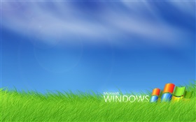 Логотип Microsoft Windows в траве HD обои