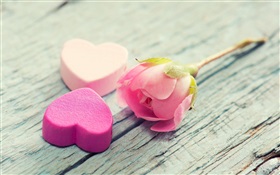 Розовые розы и любовь форме сердца HD обои