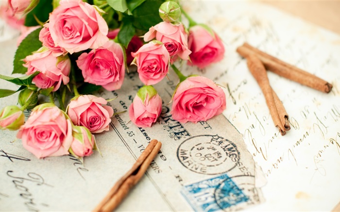 Розовая роза цветы, письмо обои,s изображение