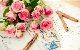 Розовая роза цветы, письмо