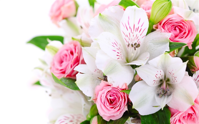 Розовые розы, орхидеи белые обои,s изображение