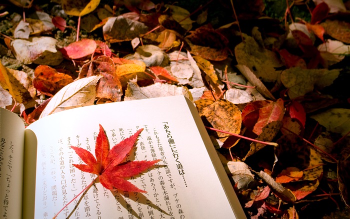 Красные листья, японский Книга обои,s изображение