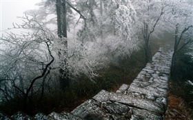 изморозь пейзажи, деревья, зима, снег, пейзажи Китай