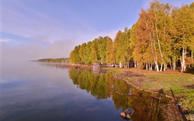 Россия, озеро Байкал, деревья HD обои
