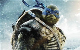 Teenage Mutant Ninja Turtles, Лев HD обои