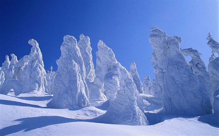 Толстая снег, деревья, зима обои,s изображение