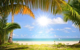 Тропический пляж, солнце, пальмы HD обои