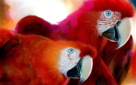 Две красные перья попугая HD обои