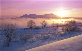 Зимнее утро, снег, деревья, туман, восход солнца