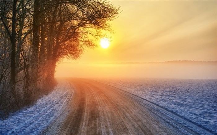 Зима восход солнца, дорога, туман, деревья обои,s изображение
