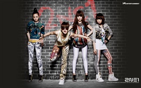 2NE1, корейский музыка девушки 02 HD обои