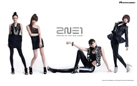 2NE1, корейский музыка девушки 03 HD обои