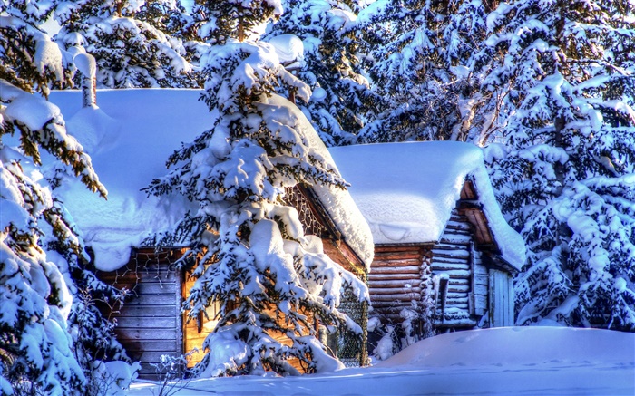 Аляска, толщиной снег, лес, ели, хаты, зима обои,s изображение