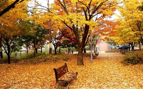 Осень, деревья, листья, парк, скамейка HD обои