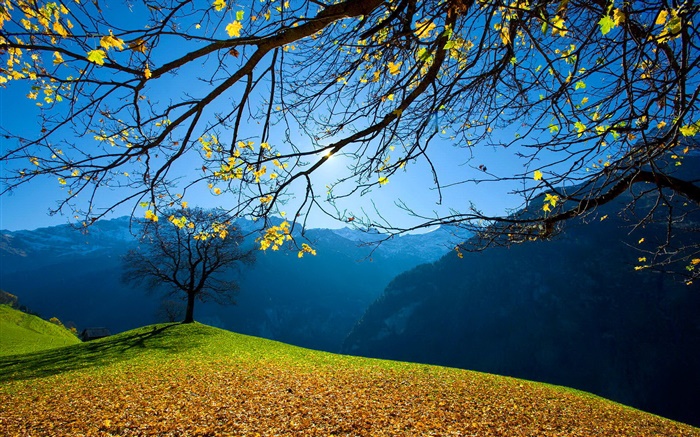 Осень, деревья, горы, голубое небо, солнечные лучи обои,s изображение