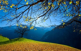 Осень, деревья, горы, голубое небо, солнечные лучи HD обои