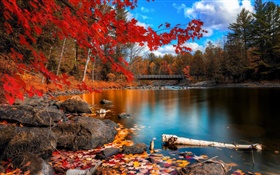 Осень, деревья, река, мост