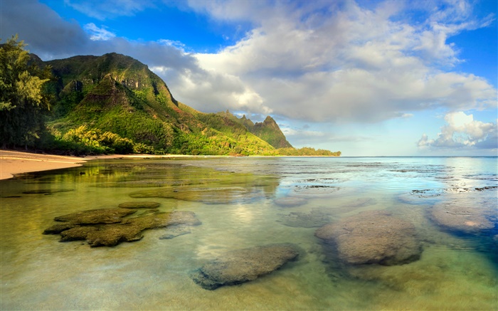 Пляж, Коралловый риф, под водой, Кауаи, Гавайские обои,s изображение