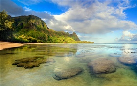 Пляж, Коралловый риф, под водой, Кауаи, Гавайские HD обои