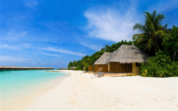 Пляж, море, отдых хижина, пальмы обои,s изображение