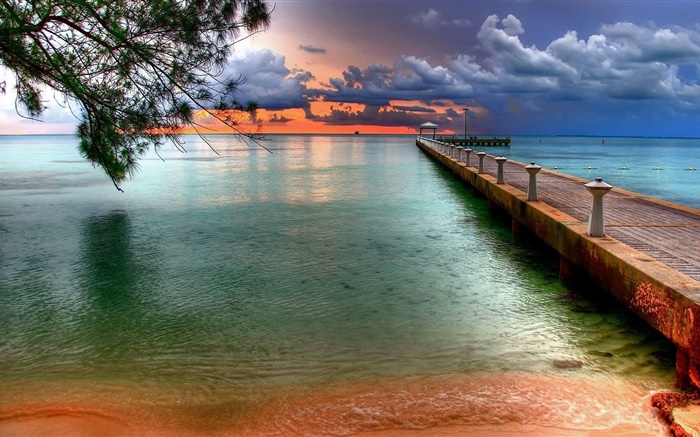 Пляж, море, пирс, дерево, облака, закат обои,s изображение