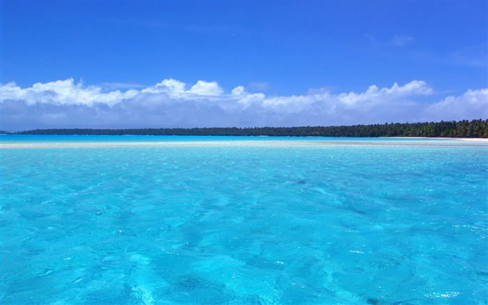 Blue Coast пейзажи, пальмы, пляж обои,s изображение