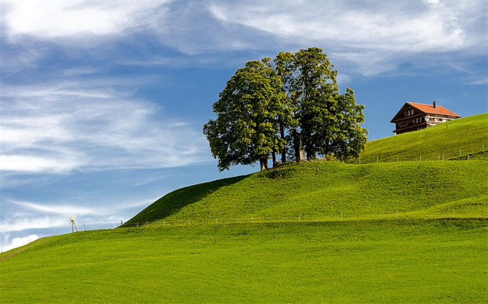 Голубое небо, трава, дерево, дом, на склоне холма, Айнзидельн, Швиц, Швейцария обои,s изображение