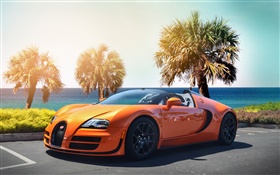 Bugatti Veyron гиперкар оранжевый суперкар