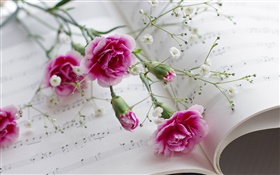 Гвоздики, розовые цветы, книга