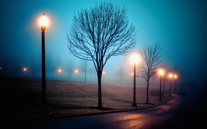 Город, ночь, туман, улица, парк, огни обои,s изображение
